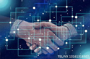 區(qū)塊鏈技術(shù)開發(fā) 應(yīng)用場景概覽與技術(shù)路徑