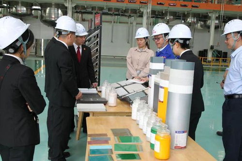 立足知識產權保護，協同企業創新發展——江州區法院舉辦新材料技術研發領域知識產權保護宣講座談會